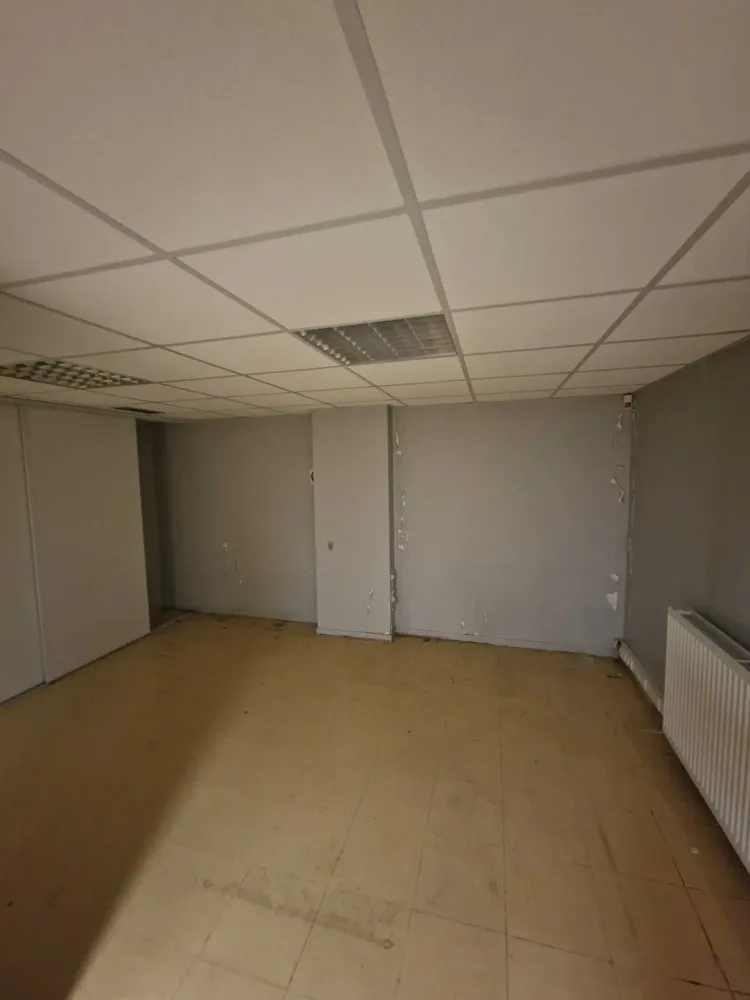 Resine decorative Albi (14)