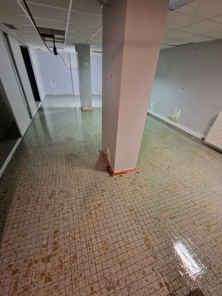 Resine decorative Albi (19)